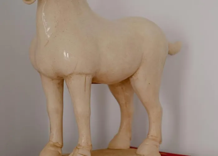 - Puente Area - Casa Mariposas Apartament *